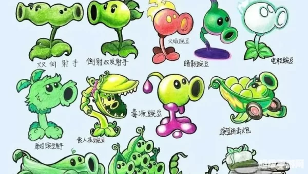 z植物大战僵尸