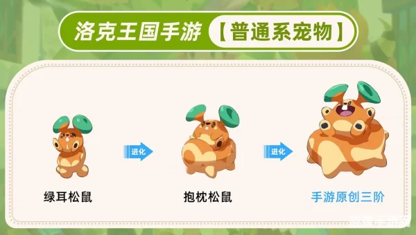 洛克王国宠物石