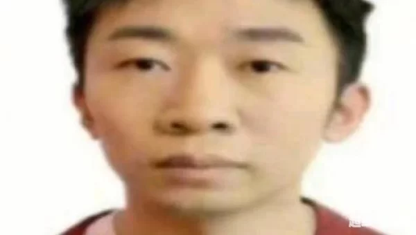 杨迪表情包