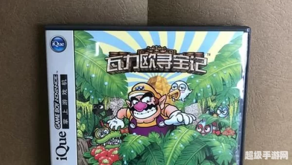 瓦力欧寻宝记攻略