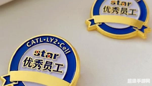 怎么镶嵌徽章