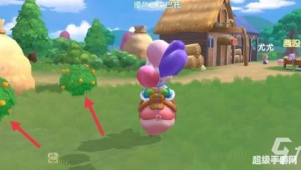摩尔庄园夏日收集