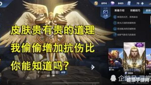 收集者